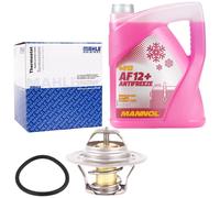 Behr / Mahle THERMOSTAT DICHTUNG 87°C + Kühlerfrostschutz,...