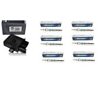 BERU GSE102 Steuergerät Glühzeit + 6 Glühkerzen BERU GE102 für BMW