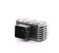 Steuergerät, Glühzeit BORG WARNER (BERU) GSE143