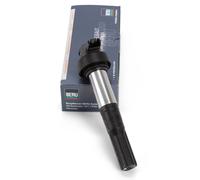 BorgWarner (BERU) | Zündspule | ZS386