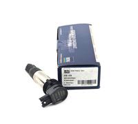 BorgWarner (BERU) Zündspule ZSE229