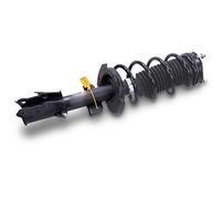 Bestprice Federbein komplett vorne [Hersteller-Nr. GH-352533C03] für Ford