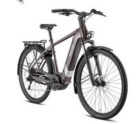 BESV TR 1.3 SO Step Over 10 Gang 630Wh metallic umbra Gr. L (TR1.3HerrenL)