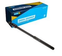 BILSTEIN 18-140651 Lenkungsdämpfer