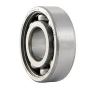 BIRTH 6145 Antriebswellenlager