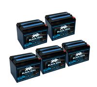 BLACKBULL 60V 52Ah AGM VRLA 5x12V Akkuset Kabinenroller Elektromobil Batterie