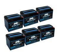BLACKBULL 72V 52Ah AGM VRLA 6x12V Akkuset Kabinenroller Elektromobil Batterie