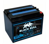 BLACKBULL ULTRA 12V 45AH Akku BleiAkku Batterie Elektromobil Kabinenroller AGM