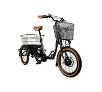 Blaupunkt E-Trike / E-Lastenrad Minna 20 Zoll 250W Schwarz
