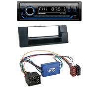 Blaupunkt MP3 Bluetooth USB AUX Autoradio für BMW 5er E39 X5 E53 Ablagefach Akti