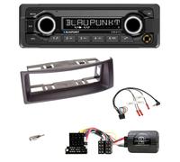 Blaupunkt MP3 Bluetooth USB Lenkrad Autoradio für Renault Megane 99-03 Scenic sc