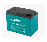 Blei-Gel-Akku 12V 45Ah Deep-Cycle - wartungsfrei, auslaufsicher, 540 Wh Ersatzakku für Kabinenroller, Lastendreirad und Elektromobil