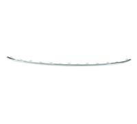 BLIC Zierleiste Stoßstange 5504-00-9546920P vorne für VW Caddy IV 05.15-12.19