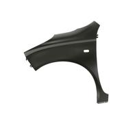 Kotflügel, vorne BLIC 6504-04-1609311P, Links