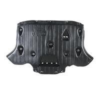 BLIC 6601-02-0051862P Motor- / Unterfahrschutz