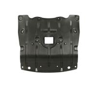 Blic 6601-02-0098860P Motor Unterfahrschutz für BMW X5 G05 F95 + Van G05 2018->