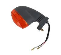 Blinker hinten links Blinkleuchte Fahrtrichtungsanzeiger Blinkleuchten Roller