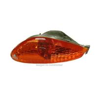Blinker Hinten Links Piaggio NRG 50 Motorrad Motor Ersatzteile Moped
