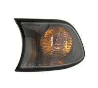 Magneti Marelli 710311330005 Blinkleuchten, Linke