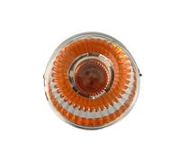 Blinkleuchte DT Spare Parts 2.24566