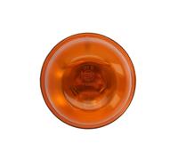 Blinkleuchte DT Spare Parts 4.63477