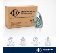 DIEDERICHS 1887074 Blinker