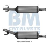 SCR-Katalysator BM BM31021H
