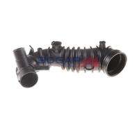 BOGAP A1210109 Schlauch, Kurbelgehäuseentlüftung