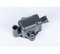 BorgWarner (BERU) Zündspule 12V Zündsystem ZS593