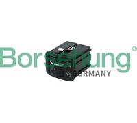 BORSEHUNG Regler, Instrumentenbeleuchtung b18747 für VW