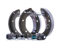 Bosch Bremsbackensatz [Hersteller-Nr. 0204114646] für Citroën, Fiat, Peugeot