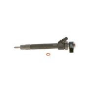 BOSCH 0445110191 Einspritzdüse
