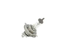 BOSCH 1 987 301 001 - Glühlampe