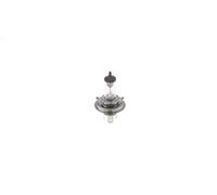 BOSCH Glühlampe, Fernscheinwerfer 1987301410