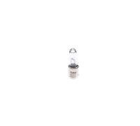 BOSCH 1 987 302 533 Glühbirne Für SCANIA, VOLVO