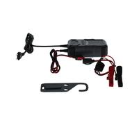 Bosch C30 Kfz-Batterieladegerät, 3,8 Ampere, mit Erhaltungsfunktion - für 6 V / 12 V Blei-Säure, WET, EFB, GEL, AGM und offene VRLA-Batterien, Grau