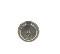 Bosch Druckspeicher, Kraftstoffdruck [Hersteller-Nr. 0438170055] für Lancia, Rolls-royce, Mercedes-Benz, Bentley