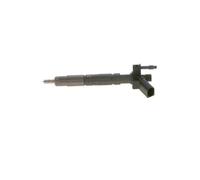Injektor Einspritzdüse BMW X5 E70 X6 E71 E72 40d 7 F01 F02 F03 740d 0445117017