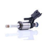 BOSCH Einspritzventil 0261500494