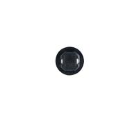 BOSCH Glühlampe Trucklight 1 987 302 515