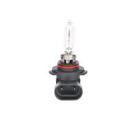 BOSCH Glühlampe, Fernscheinwerfer Nebelscheinwerfer Hauptscheinwerferfür