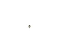 BOSCH Glühlampe Trucklight 1 987 302 515