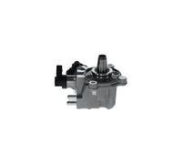 BOSCH 0 445 010 794 Hochdruckpumpe