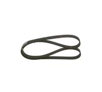 Bosch Keilrippenriemen 1 987 948 323 – für Audi A8 D2, A6 C5/Avant