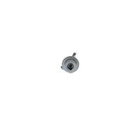 BOSCH Kraftstoffdruckregler für FERRARI FIAT MERCEDES-BENZ LANCIA ROLLS-ROYCE 0 438 161 013