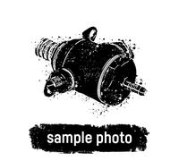 Kraftstoffpumpe BOSCH 0 580 314 076