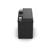 Bosch FA117 - AGM-Motorradbatterie - 12V 90A 6Ah - Geeignet für Motorräder, Motorräder, Enduros, Roller, Quads, Jetskis - Kompatibel M6009, BTZ7S