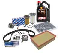 BOSCH Zahnriemensatz + BERU PSG007 Glühkerzen + FEBI Filter Satz 5L MOTUL 5W30