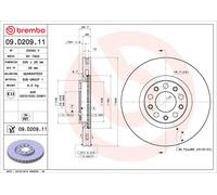 Brembo Bremsscheiben Vorne Innenbelüftet 2X Ø 305Mm | 09.D209.11