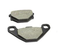 Bremsbeläge vorne organisch Brenta FT3095 EAN: 8033413720953 für Aeon Aprilia Barossa/SMC Cectek Derbi Dinli Gilera Goes Husaberg Kawasaki KTM Kymco Linhai Polaris Sachs Suzuki SYM TGB Triton Yamaha